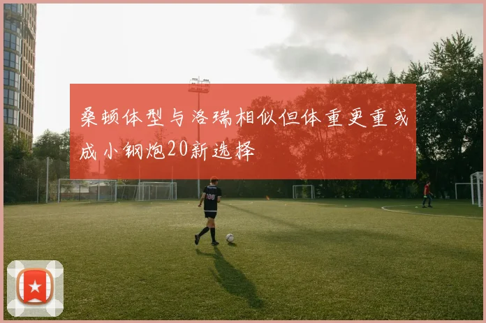 桑顿体型与洛瑞相似但体重更重或成小钢炮20新选择